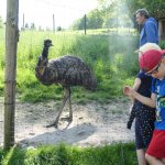phoca_thumb_m_horeky  34 Fotogalerie